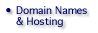 Domain Names & Hosting