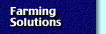 Banana Farm Solutions