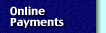 Online Payments